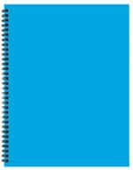 Custom Academic Wire Bound Monthly Desk Planner w/ Technocolor Cover - 2