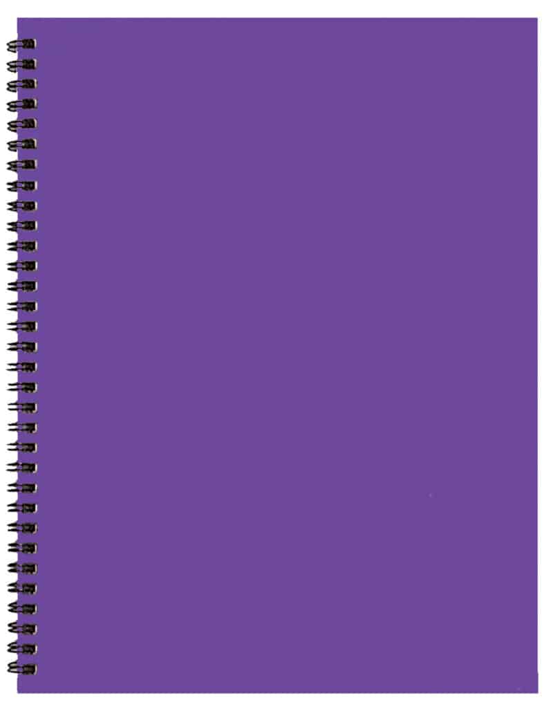 Custom Academic Wire Bound Monthly Desk Planner w/ Technocolor Cover - 6