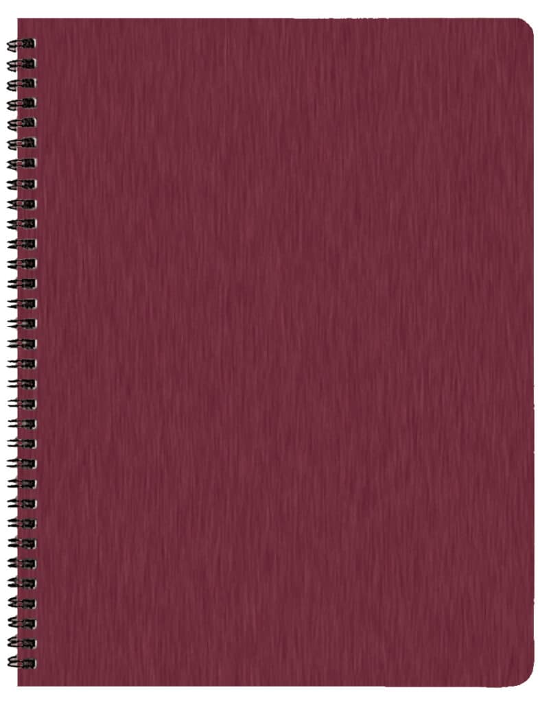 Custom Professional Weekly Desk Appointment Planner w/ Shimmer Cover - 2