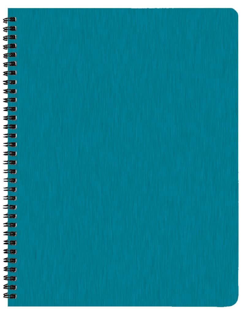 Custom Professional Weekly Desk Appointment Planner w/ Shimmer Cover - 4