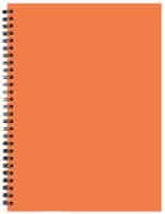 Custom Student Assignment Planner w/ TechnoColor Cover - 3