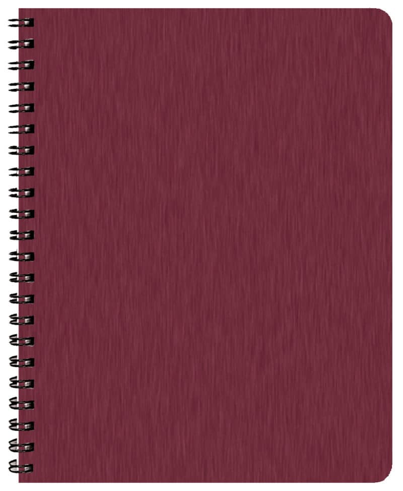 Custom Time:Master Time Management Planner w/ Shimmer Cover - 2