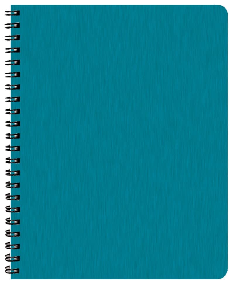 Custom Time:Master Time Management Planner w/ Shimmer Cover - 4