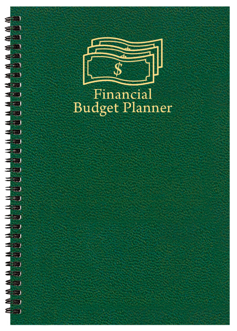 Custom Financial Budget Planner