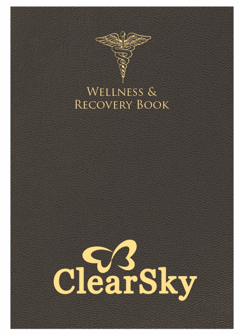 Custom Wellness and Recovery Book 7" x 10" - 3