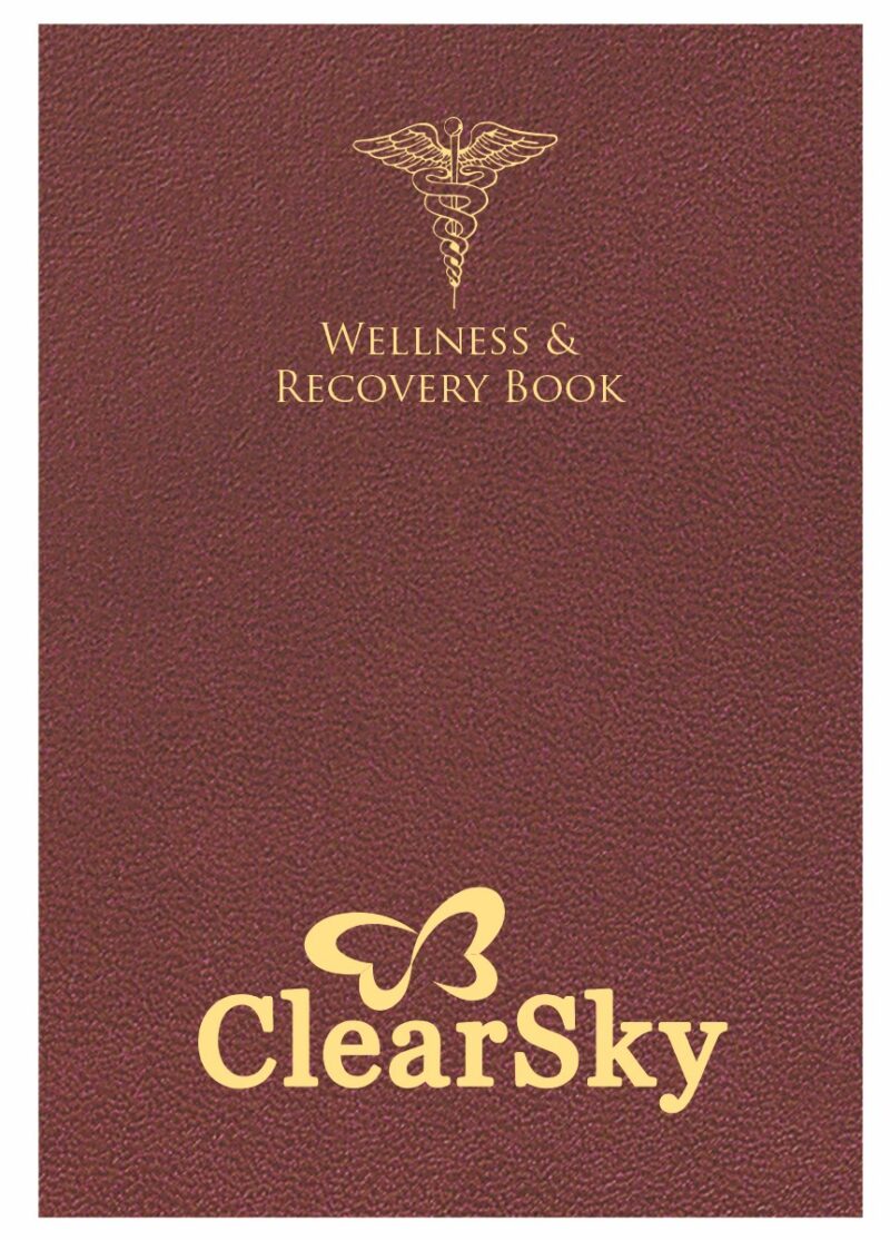 Custom Wellness and Recovery Book 7" x 10" - 4