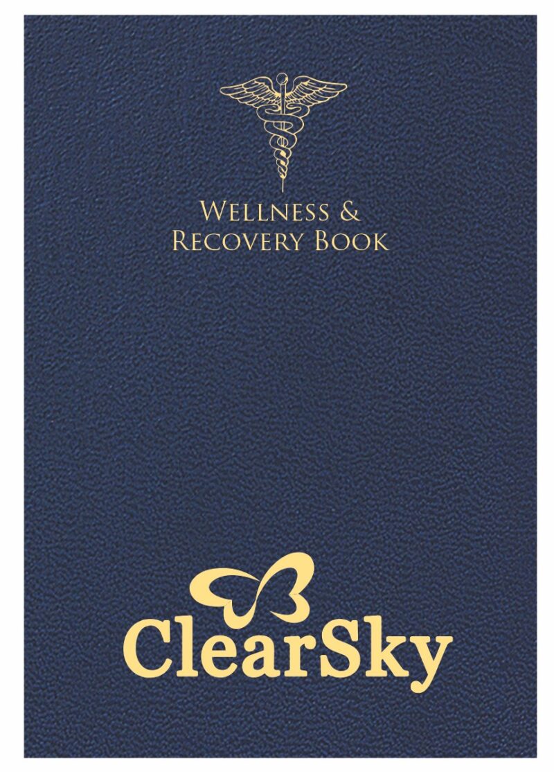 Custom Wellness and Recovery Book 7" x 10" - 5